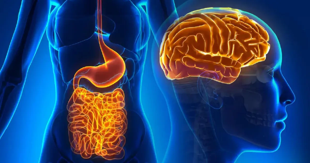 Mikrobiom: Etesd okosan, élj hosszabban és egészségesebben! A Longevity kulcsa a bélrendszerben