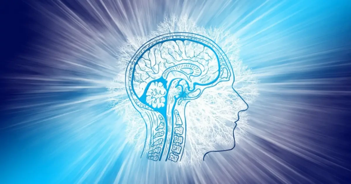 Neuroplaszticitás és agyfiatalítás természetesen – így tarthatod frissen az elméd bármely életkorban