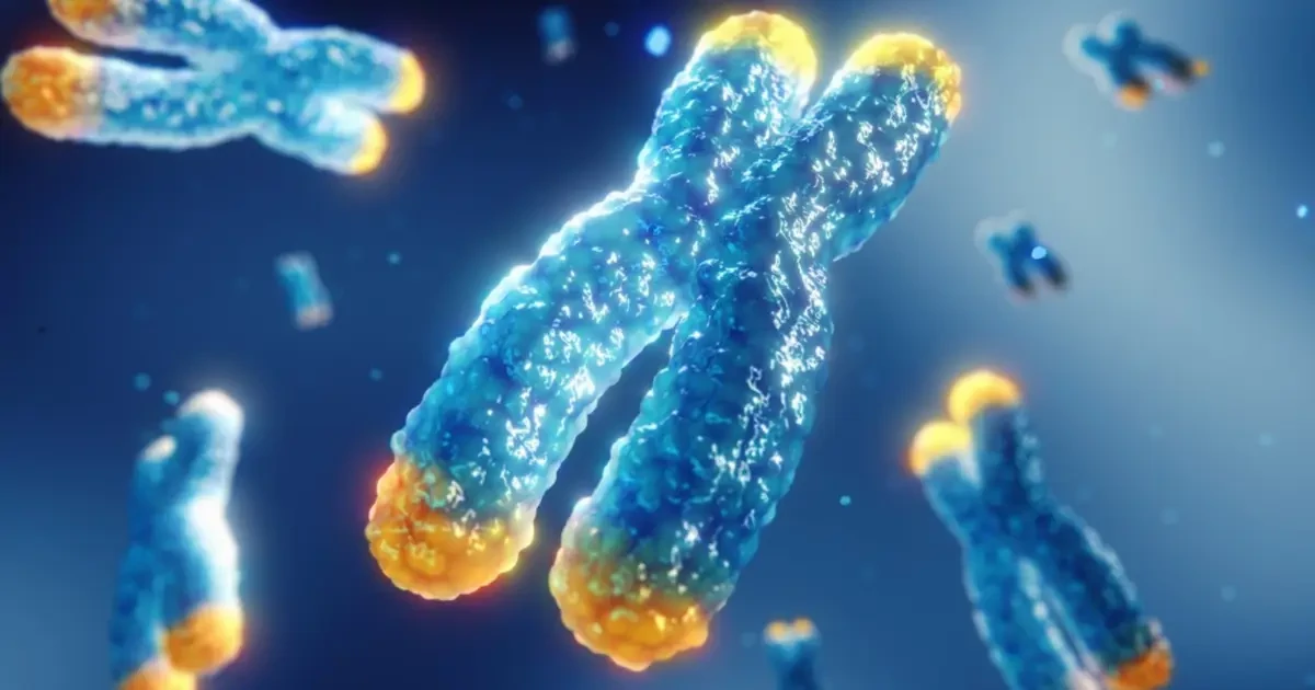 Sejtszintű fiatalítás: A telomerek titka - Így lassíthatod biológiai órádat