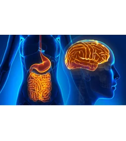 Mikrobiom: Etesd Okosan, Élj Hosszabban és Egészségesebben! A Longevity Kulcsa a Bélrendszerben